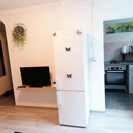 Romanilor - Studio First Floor Deva Ngoại thất bức ảnh