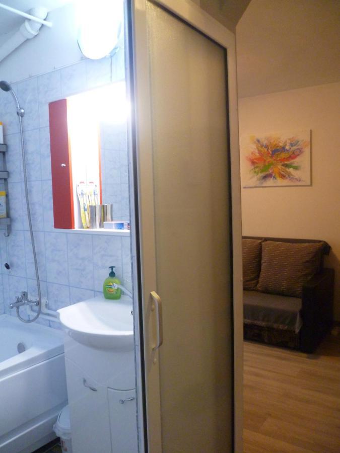 Romanilor - Studio First Floor Deva Ngoại thất bức ảnh