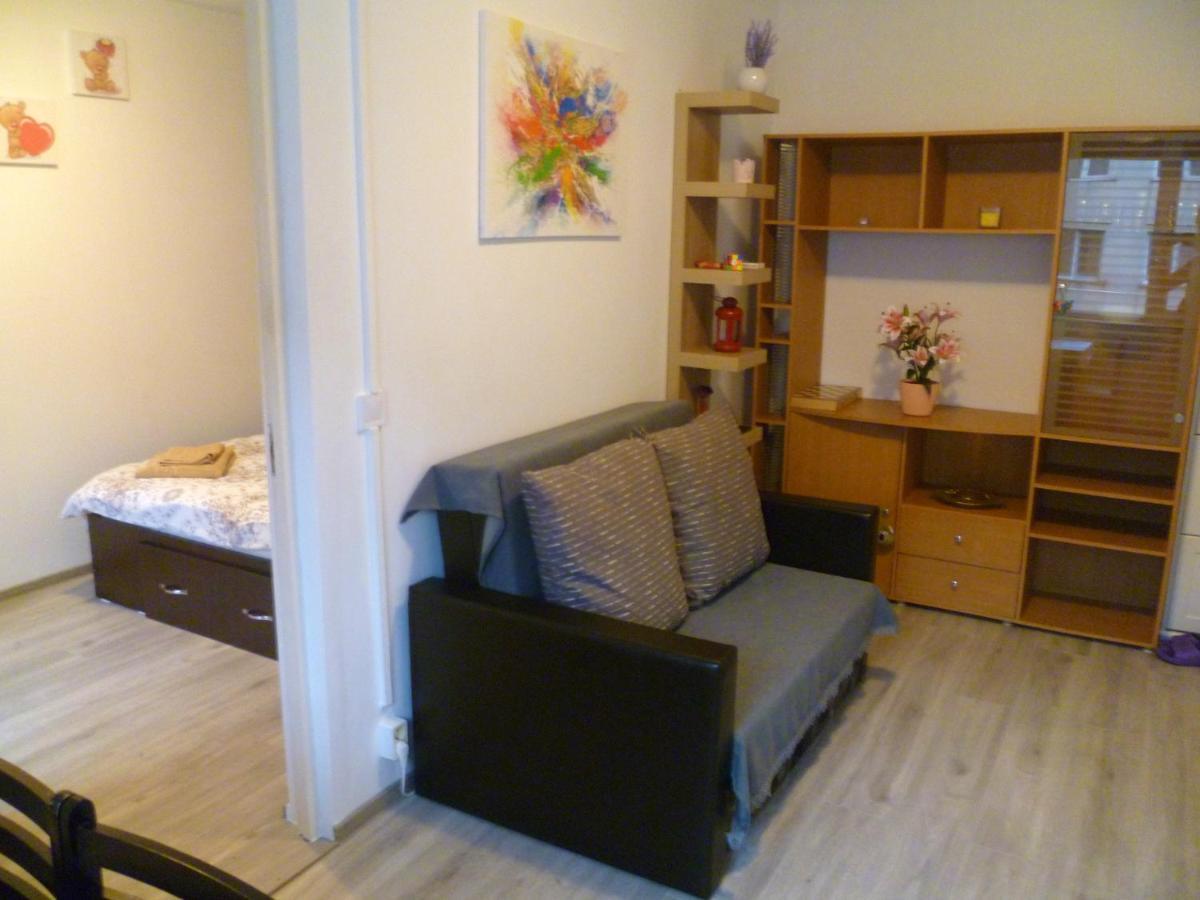 Romanilor - Studio First Floor Deva Ngoại thất bức ảnh