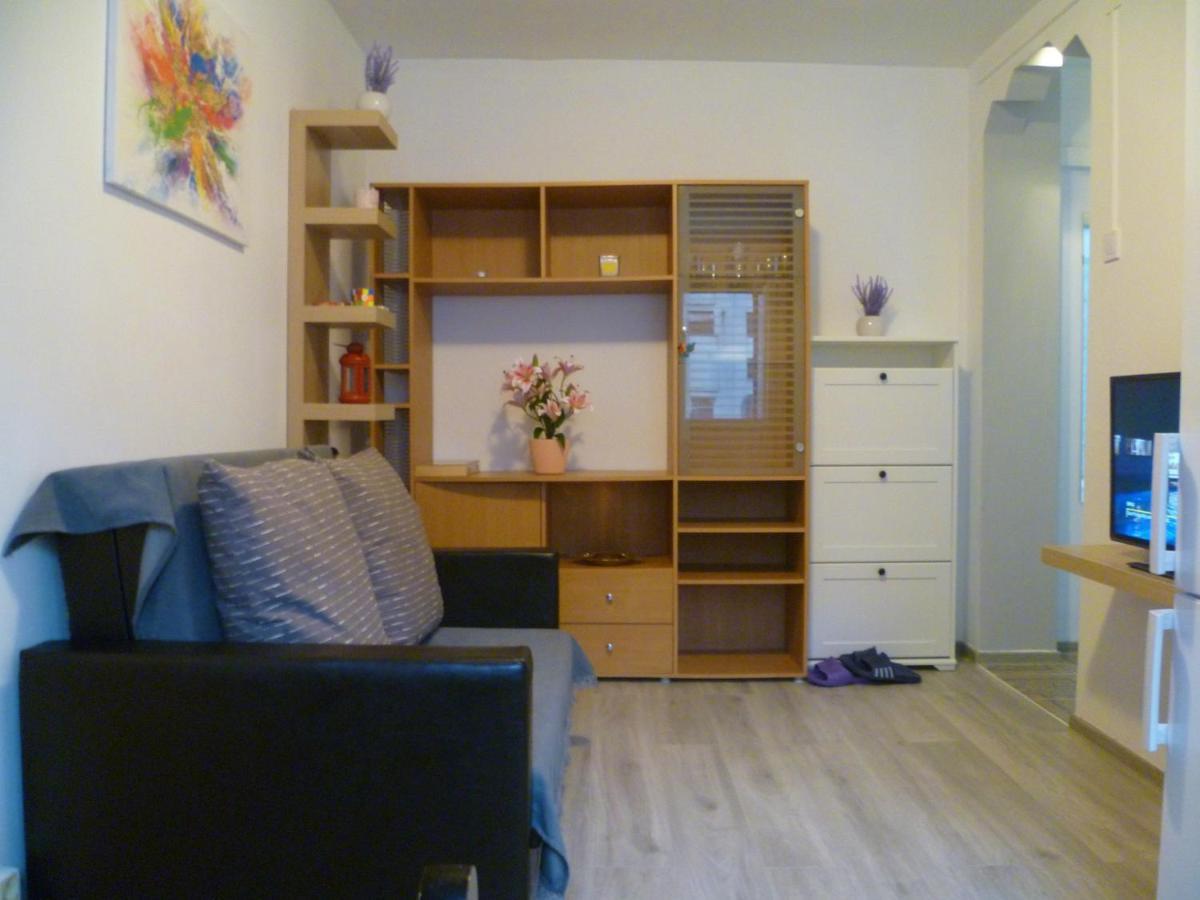 Romanilor - Studio First Floor Deva Ngoại thất bức ảnh