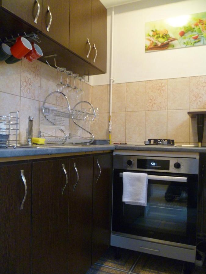 Romanilor - Studio First Floor Deva Ngoại thất bức ảnh